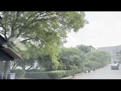 وجه ثاني أكسيد التيتانيوم الروتيل