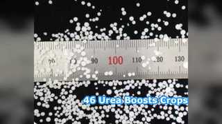 تعزيز المحاصيل: سماد اليوريا بنسبة 46% للمزارعين