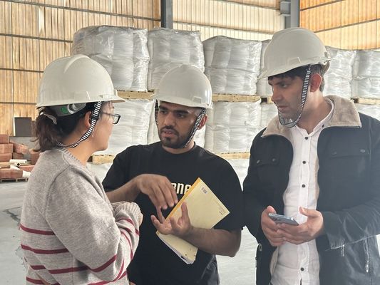 ثاني أكسيد التيتانيوم الروتيل SR9000 Tio2 للحبر والطلاء اللامع